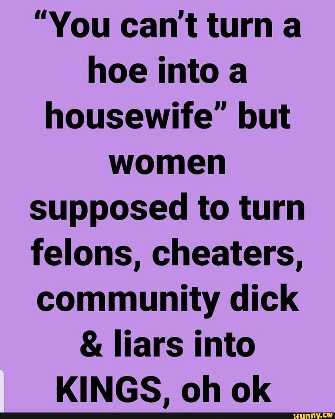 Can't turn a hoe into a housewife memes
