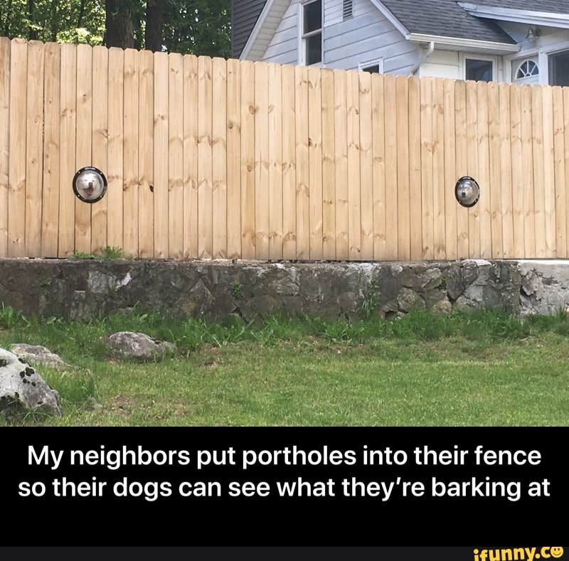 My neighbors put portholes into their fence so their dogs can see what they're barking at - My