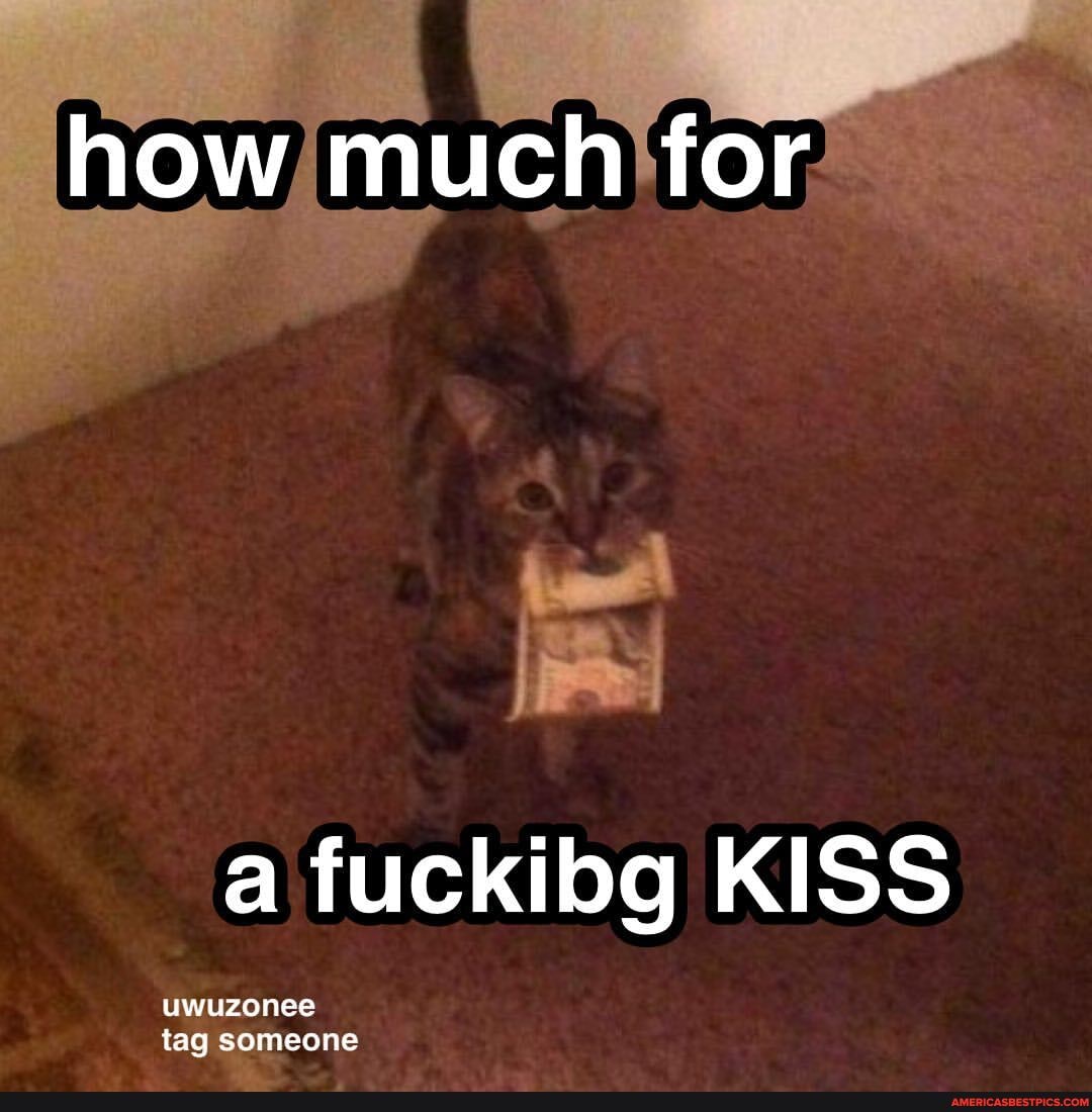 How much for a fuckibg KISS uwuzonee tag someone - America's best pics and  videos