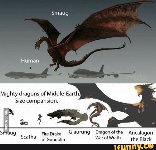 Smaug Mighty dragons of Middle-Earth: Size comparision. fe Drake GlaUTUNG  Dragon the Ancalagon of Gondolin War of Wrath the Black MOTHER OF GOD -  iFunny