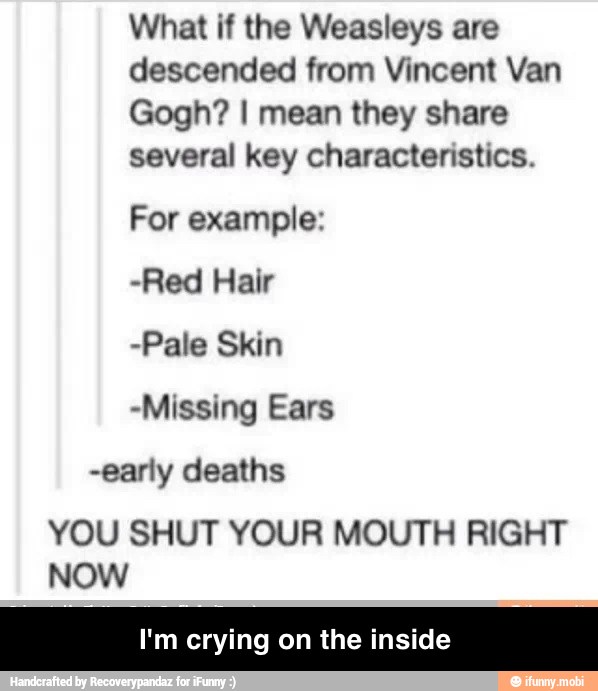 What if the Weasleys are
descended from Vincent Van
Gogh? I mean they share
several key characteristics.
For example:
-Red Hair
-Pale Skin
-Missing Ears
-early deaths
YOU SHUT YOUR MOUTH RIGHT
NOW
I'm crying on the inside - I'm crying on the inside