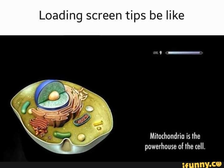 Loading screen tips be like - iFunny