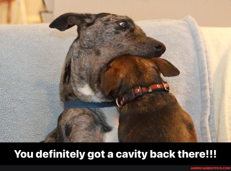 You definitely got a cavity back there!!! - You definitely got a cavity back there!!!
