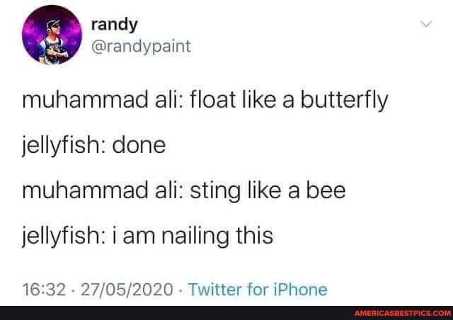 Muhammad Ali Float Like A Butterfly Jellyfish Done Muhammad Ali Sting Like A Bee Jellyfish I Am Nailing This Tasttor Far Drnngo America S Best Pics And Videos