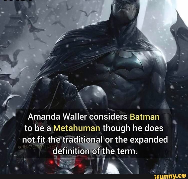 Bs Amanda Waller considers Batman to be aMetahuman though he does I not fit  the traditional or the expanded definition of the term. - iFunny Brazil