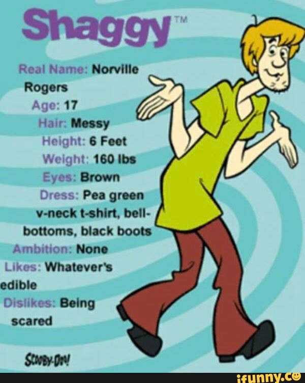 Shaggy Real Name Norville Rogers Age 17 Hair Messy Height 6 Feet Weight 160 Ibs Eyes Brown