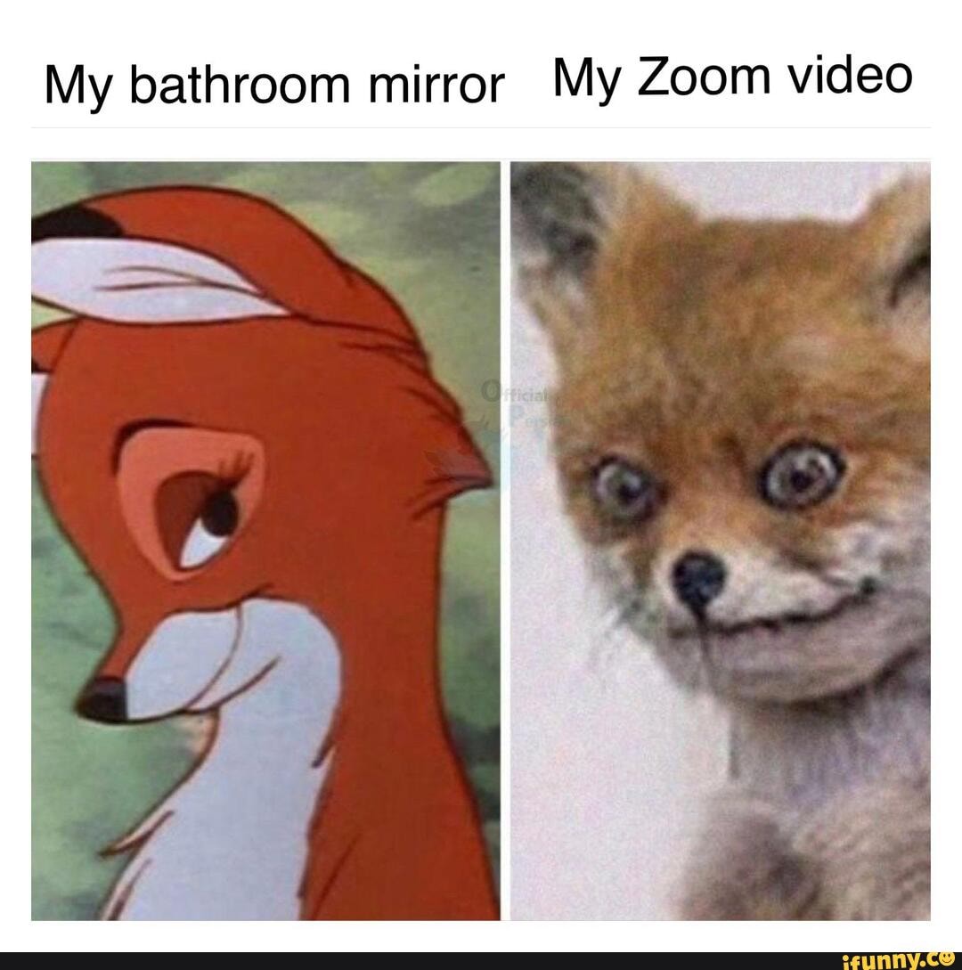 My bathroom mirror My Zoom video