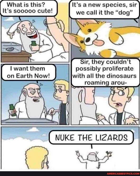 What is this?
It's sooooo cute!
It's a new species, sir we Call it the "dog"
Sir, they couldn't
possibly proliferate
ry want them on Earth Now! with all the dinosaurs roaming arou-
NUKE THE LIZARDS