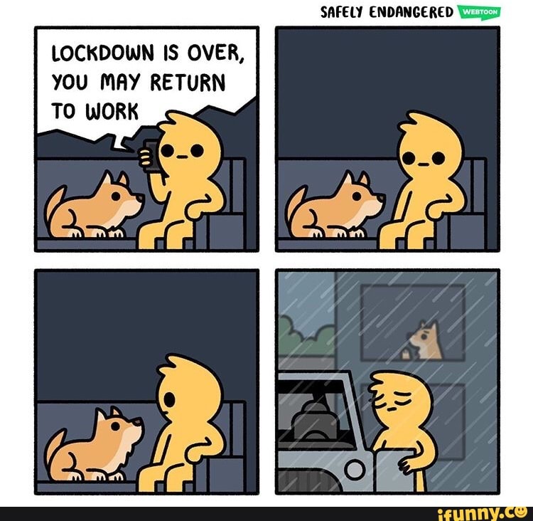 SAFELY ENDANGERED WI
LOCKDOWN IS OVER,
YOU MAY RETURN
TO WORK