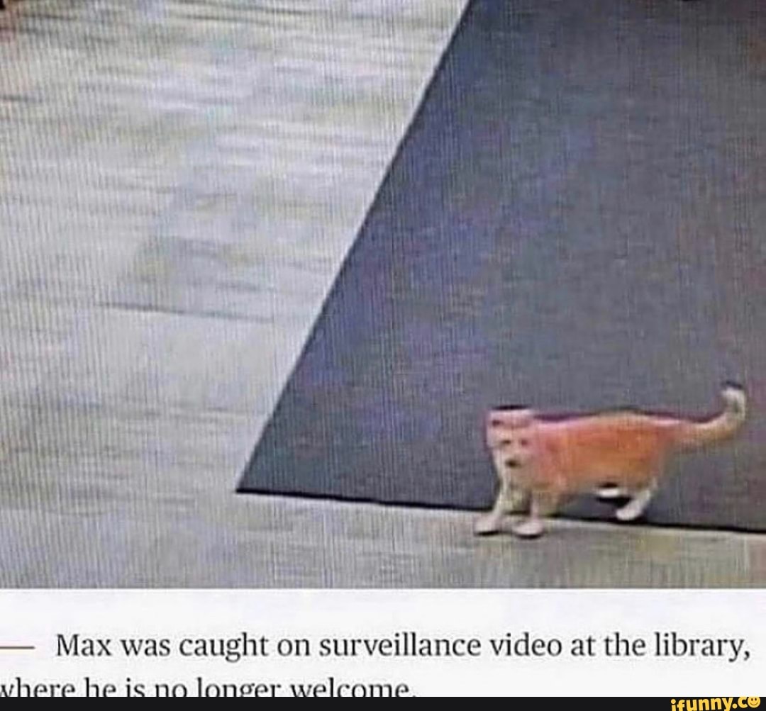 - Max was caught on surveillance video at the library,
vwhare he ie no longer welcome