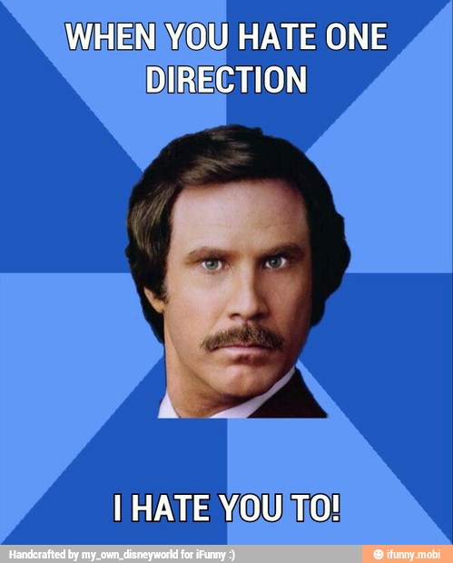 WHEN}YOU HATE ONE
DIRECTION
I HATE YOUTO!
