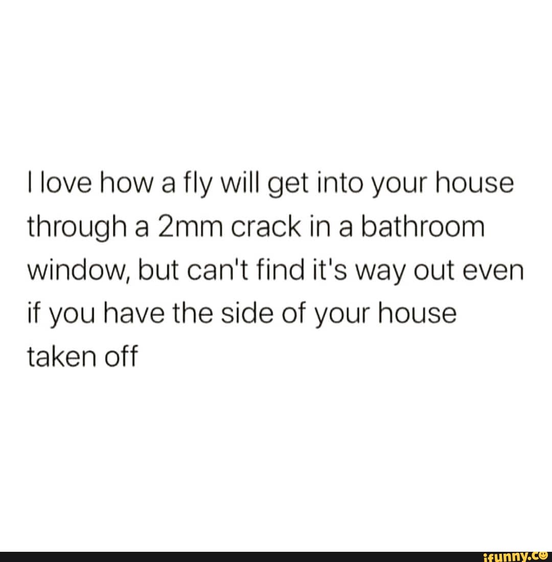 love how a fly will get into your house through a crack in a bathroom window, but can't find it's way out even if you have the side of your house taken off