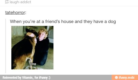 When you're at a friend's house and they have a dog