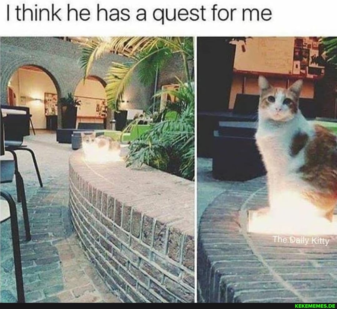 I think he has a quest for me
