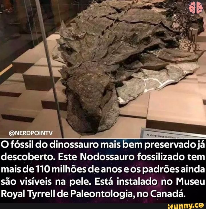 RDPO
O fóssil do dinossauro mais bem preservado já descoberto. Este Nodossauro fossilizado tem mais de 110 milhões de anos e os padrões ainda são visíveis na pele. Está instalado no Museu
Royal Tyrrell de Paleontologia, no Canadá.