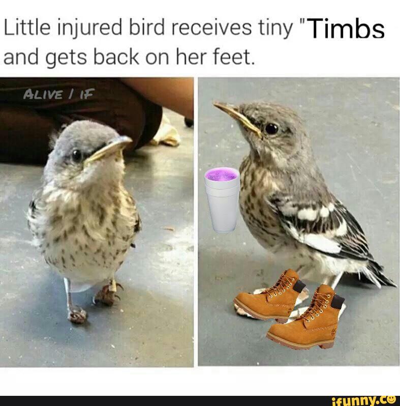 tiny timbs