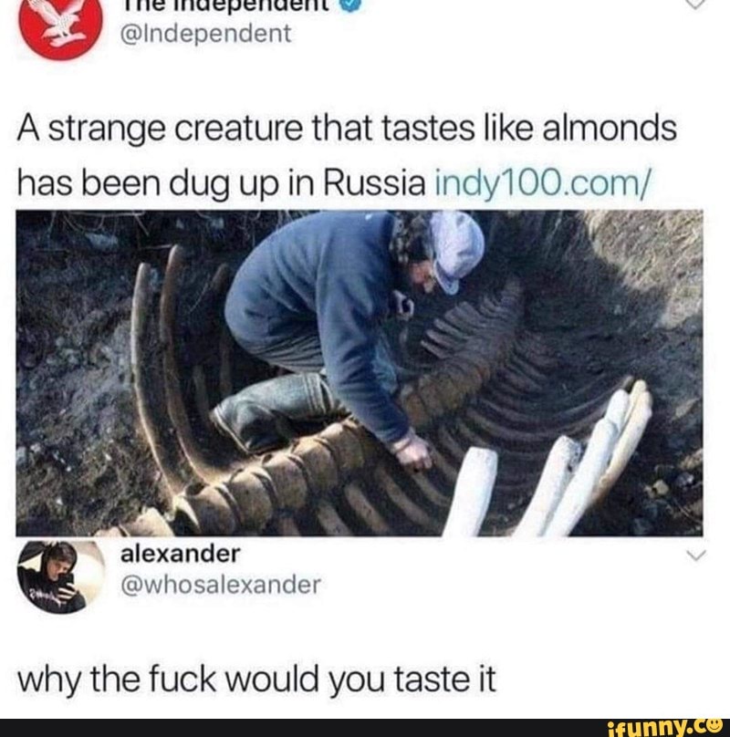 UU Independent A strange creature that tastes like almonds has been