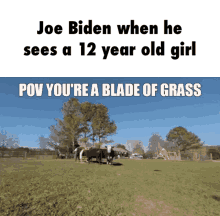 Joe Biden when he sees a 12 year old girl POV YOU'RE BLADE OF GRASS ...