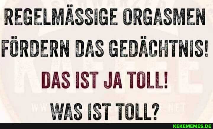 REGELMÄSSIGE ORGASMEN FÖRDERN DAS GEDÄCHTNIS!
DAS IST JA TOLL!
WAS IST TNII?