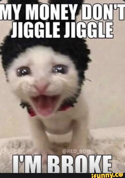 MY MONEY DON'T JIGGLE JIGGLE - iFunny