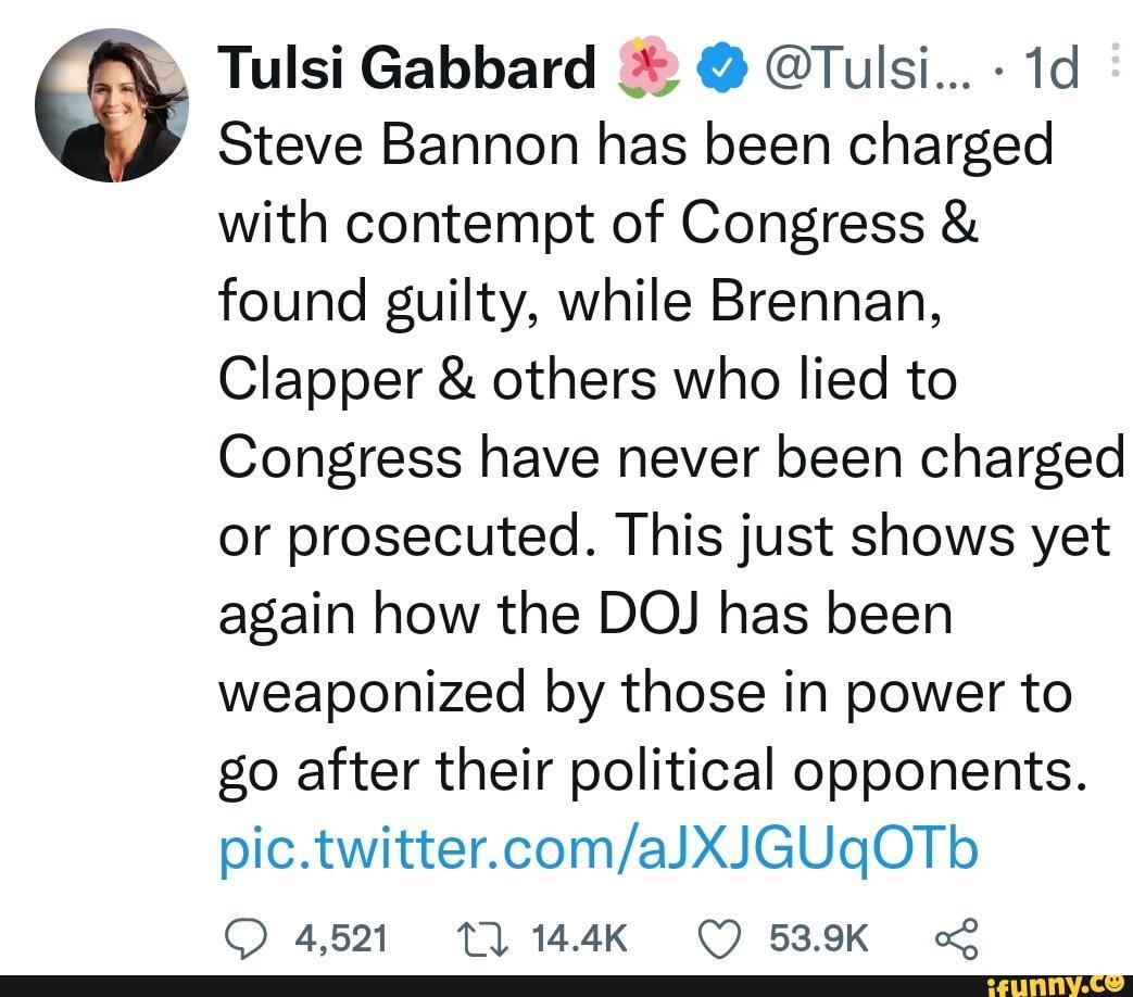 Tulsi Gabbard Tulsi Steve Bannon Has Been Charged With Contempt Of 