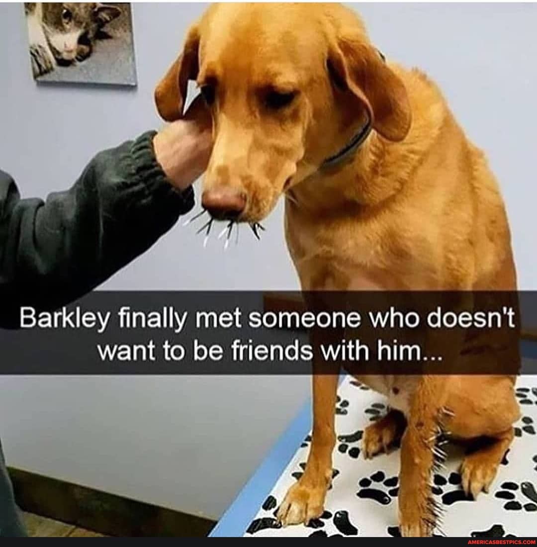 Barkley finally met someone who doesn't want to be friends with him...