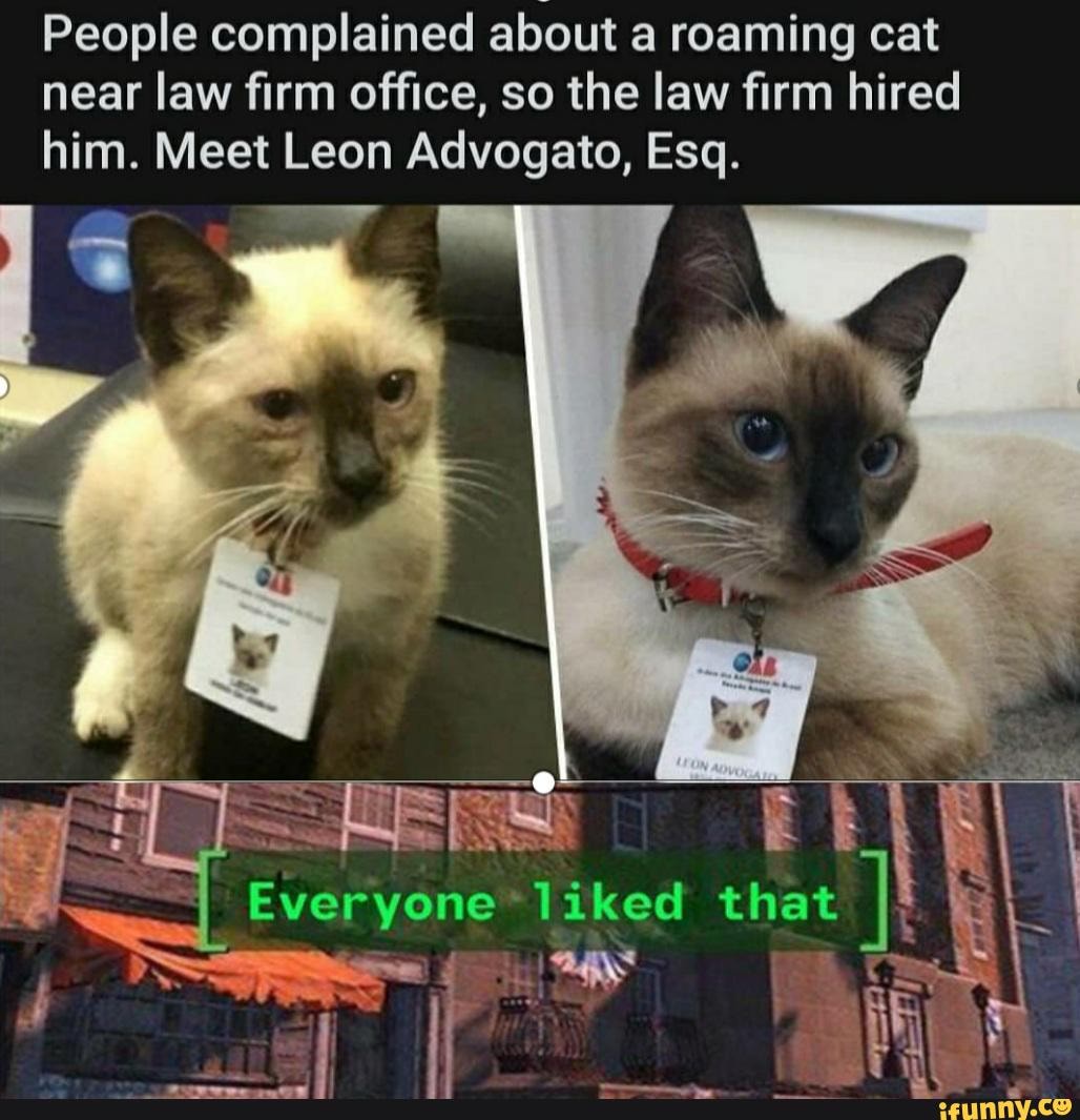 People complained about a roaming cat
near law firm office, so the law firm hired
him. Meet Leon Advogato, Esq.