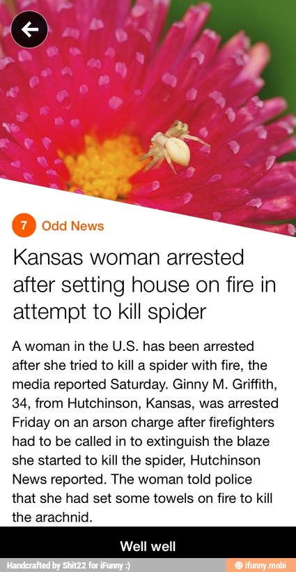 Kansas woman arrested
after setting house on fire in
attempt to kill spider
A woman in the U.S. has been arrested
after she tried to kill a spider with fire, the
media reported Saturday. Ginny M. Griffith,
34, from Hutchinson, Kansas, was arrested
Friday on an arson charge after firefighters
had to be called in to extinguish the blaze
she started to kill the spider, Hutchinson
News reported. The woman told police
that she had set some towels on fire to kill
the arachnid.
Well well - Well well