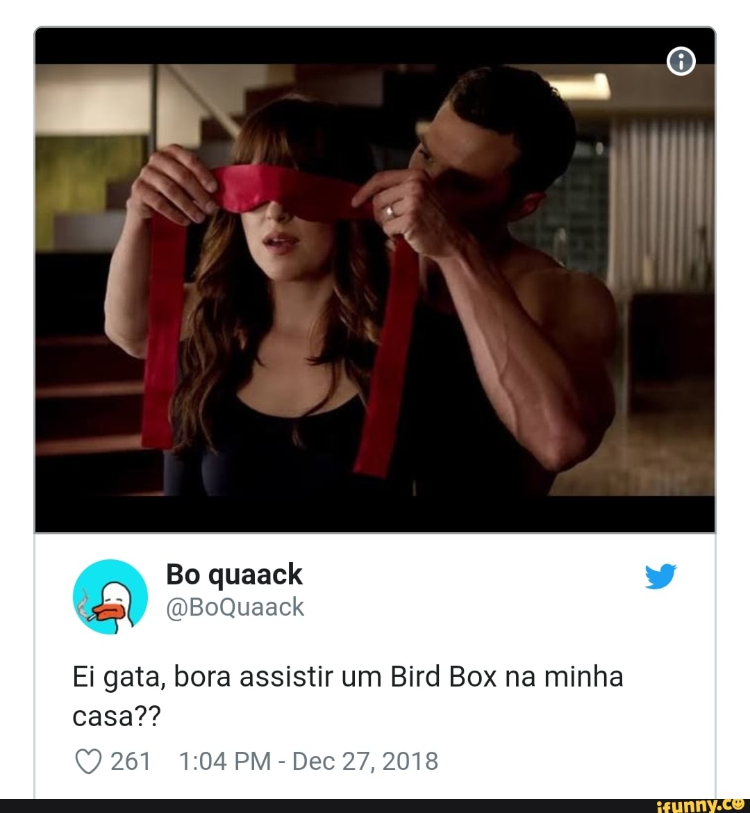 Ei gata, bora assistir um Bird Box na minha
Dec 27, 2018