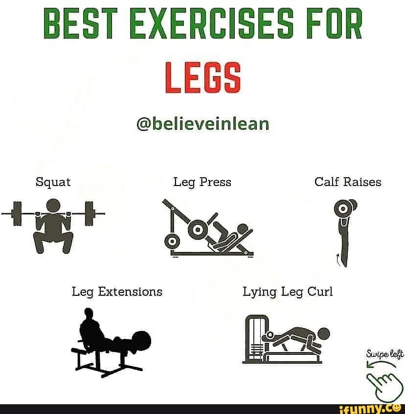 Best Exercises For Legs @believeinican Squat Leg Press Calf Raises S Tl 