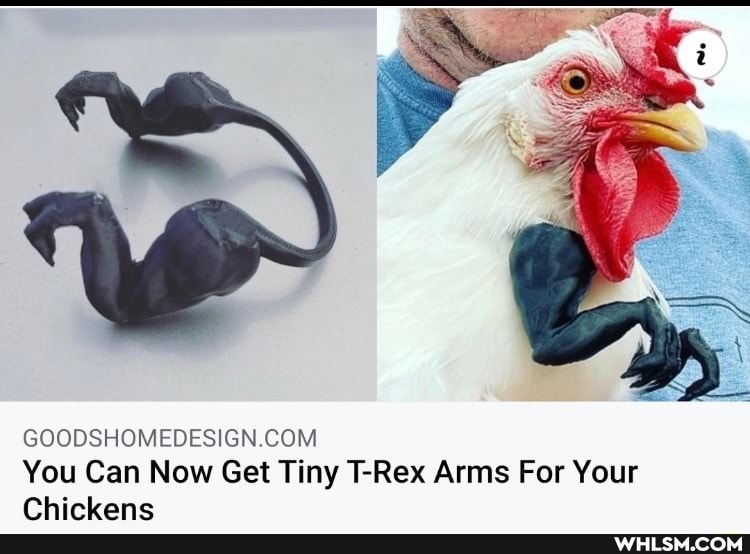 You Can Now Get Tiny T-Rex Arms For Your
Chickens