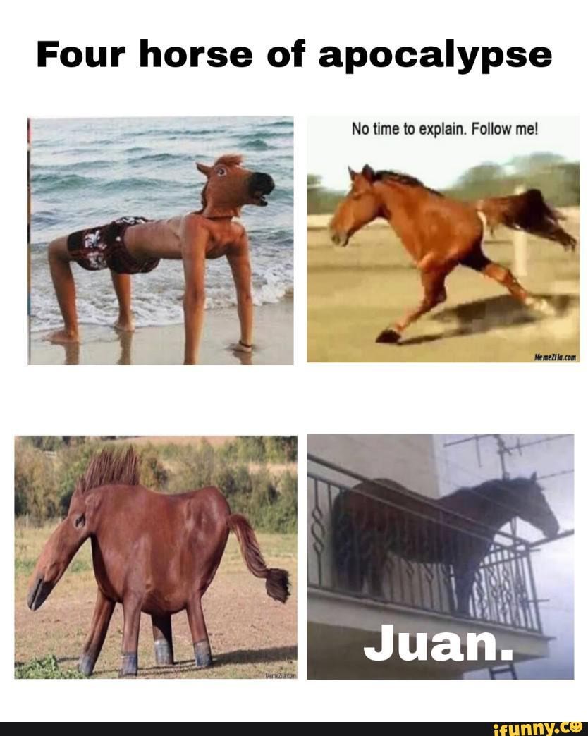 horse memes tumblr