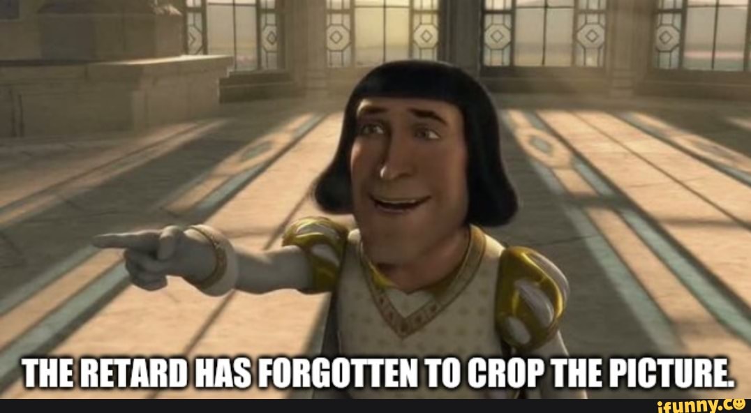 SN
A
THE RETARD
as
FORGOTTEN TO CROP
THE
S