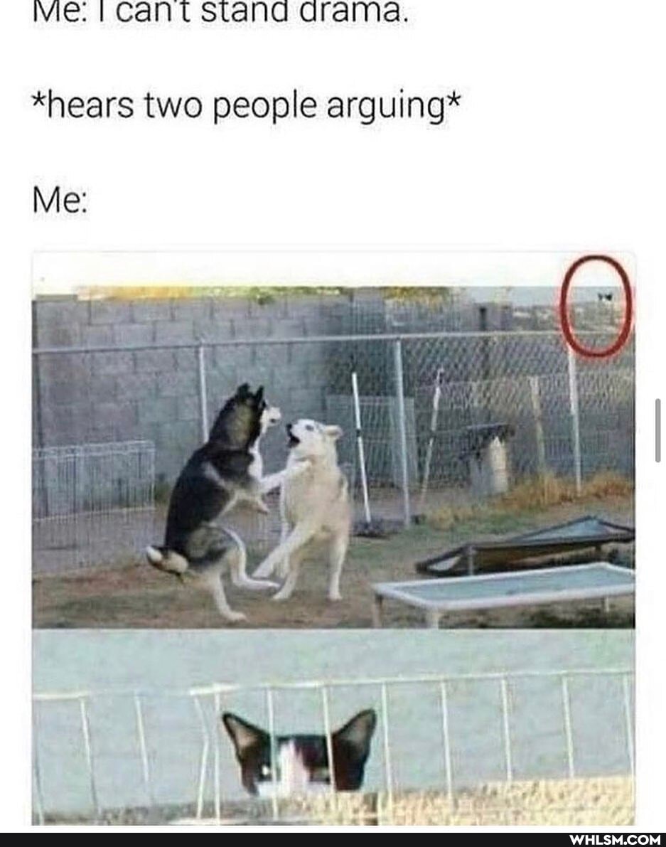 Me. Cant Stand drama.
*hears two people arguing*
Me:
4 .