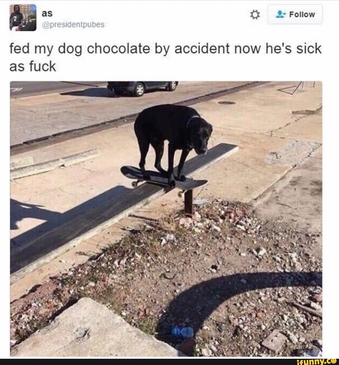 ag as ty Follow
fed my dog chocolate by accident now he's sick as fuck