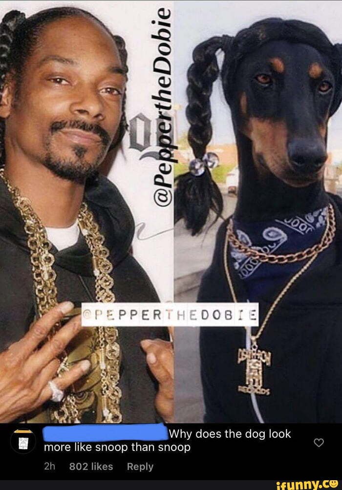 Ie airtineDolb @Pe Why does the dog look more like snoop than snoop ...