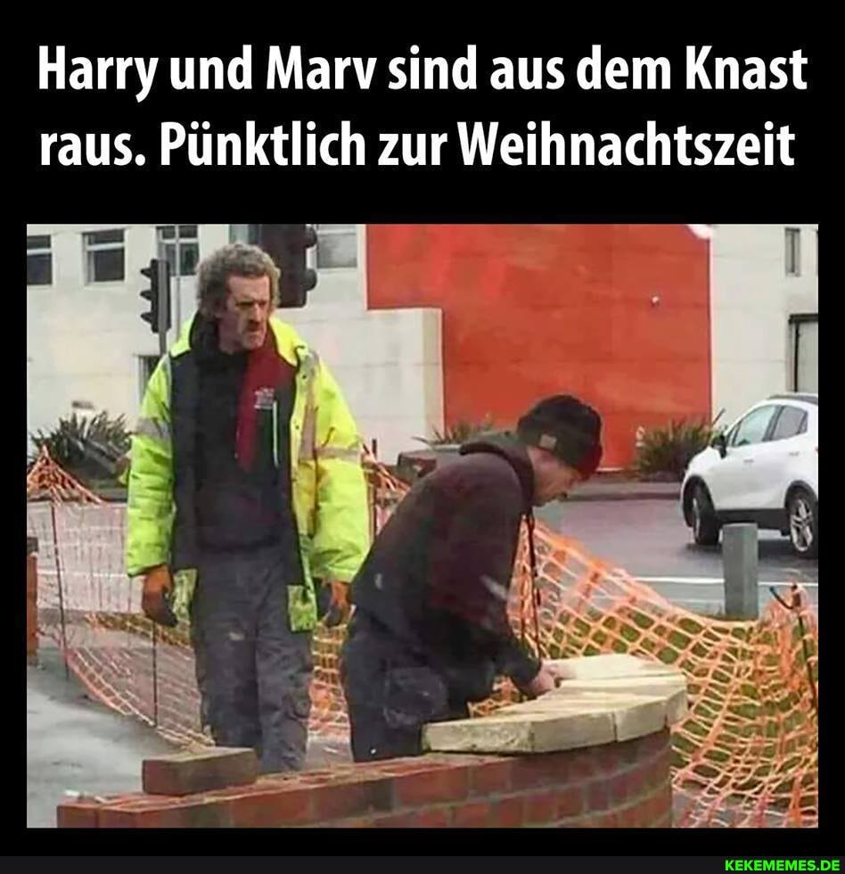 Harry und Marv sind aus dem Knast raus. Pünktlich zur Weihnachtszeit
dis