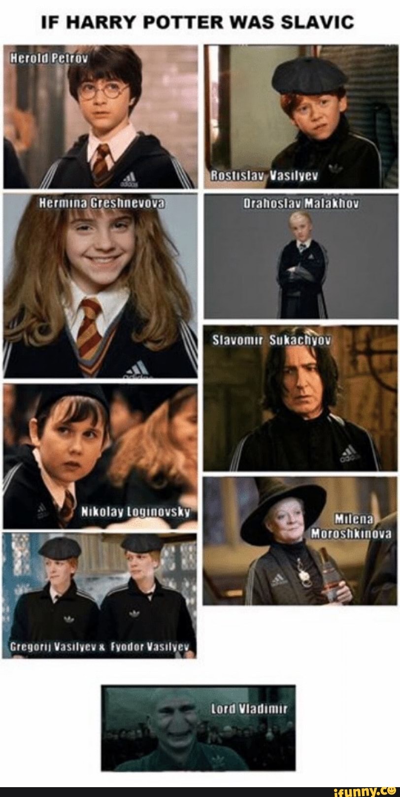 If <b>harry</b> <b>potter</b> was slavic.