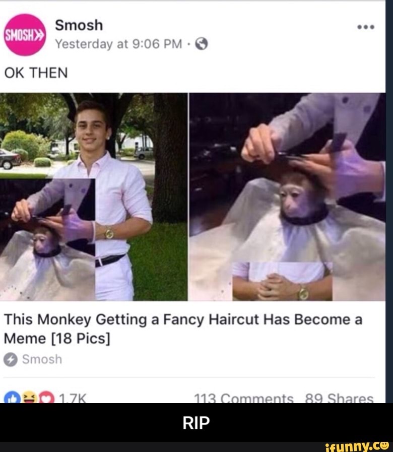 Ok Then This Monkey Getting A Fancy Haircut Has Become A Meme 18 Pics Rip Ifunny