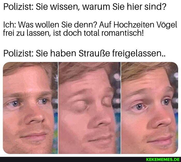 Polizist: Sie wissen, warum Sie hier sind?
Ich: Was wollen Sie denn? Auf Hochzeiten Vögel frei zu lassen, ist doch total romantisch!
Polizist: Sie haben Strauße freigelassen..