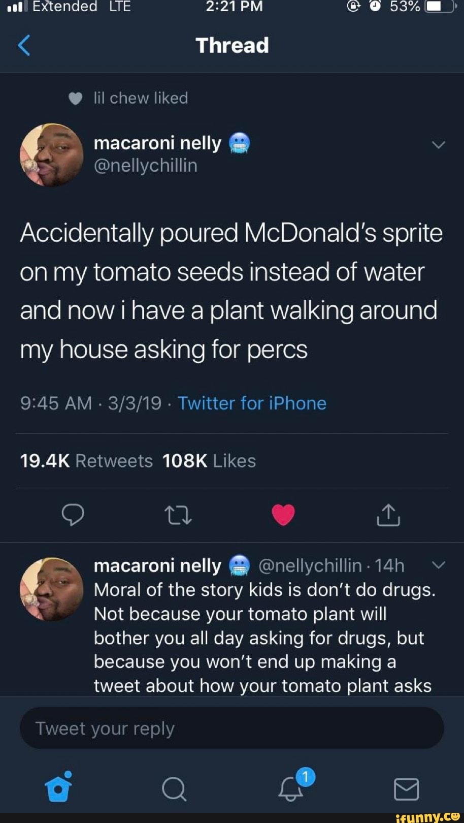 E Thread Accidentally Poured McDonald S Sprite On My Tomato Seeds Instead Of Water And Now I