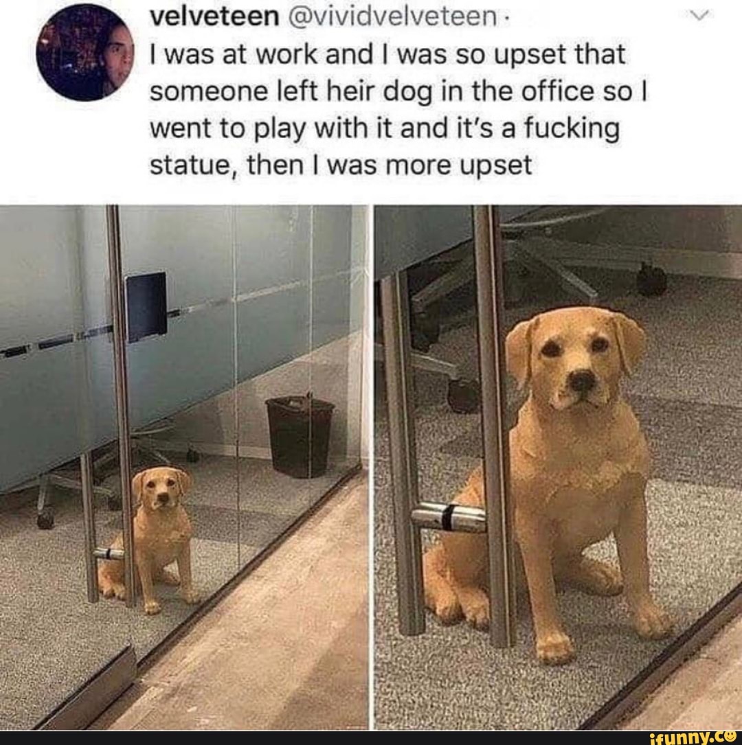 velveteen @vividvelveteen -
I was at work and I was so upset that someone left heir dog in the office so I went to play with it and it's a fucking statue, then I was more upset