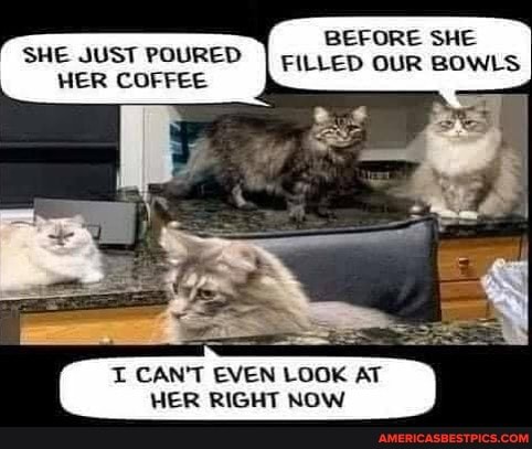 BEFORE SHE FILLED OUR BOWLS
SHE JUST POURED HER COFFEE
I CANT EVEN LOOK AT