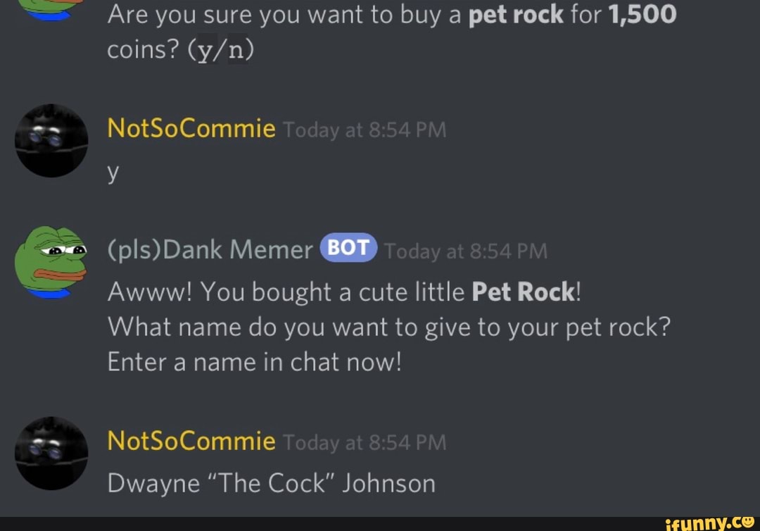 A Are You Sure You Want To Buy A Pet Rock For 1 500 Pls Dank
