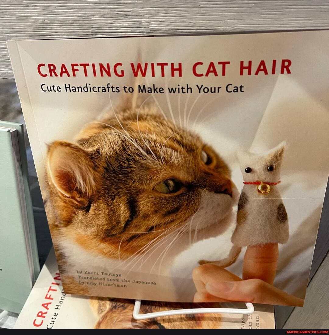 CRAFTING WITH CAT HAIR
i Cat
Cute Handicrafts to Make with Your Cat
by Keori Tautaya
Amy Hicechman,