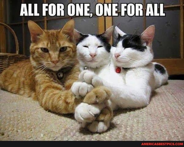 ALL FGR ONE, ONE FOR ALL