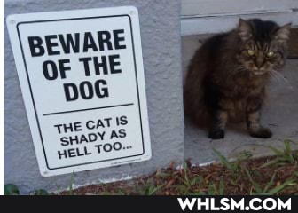 BEWARE
\ OF THE
\ wee