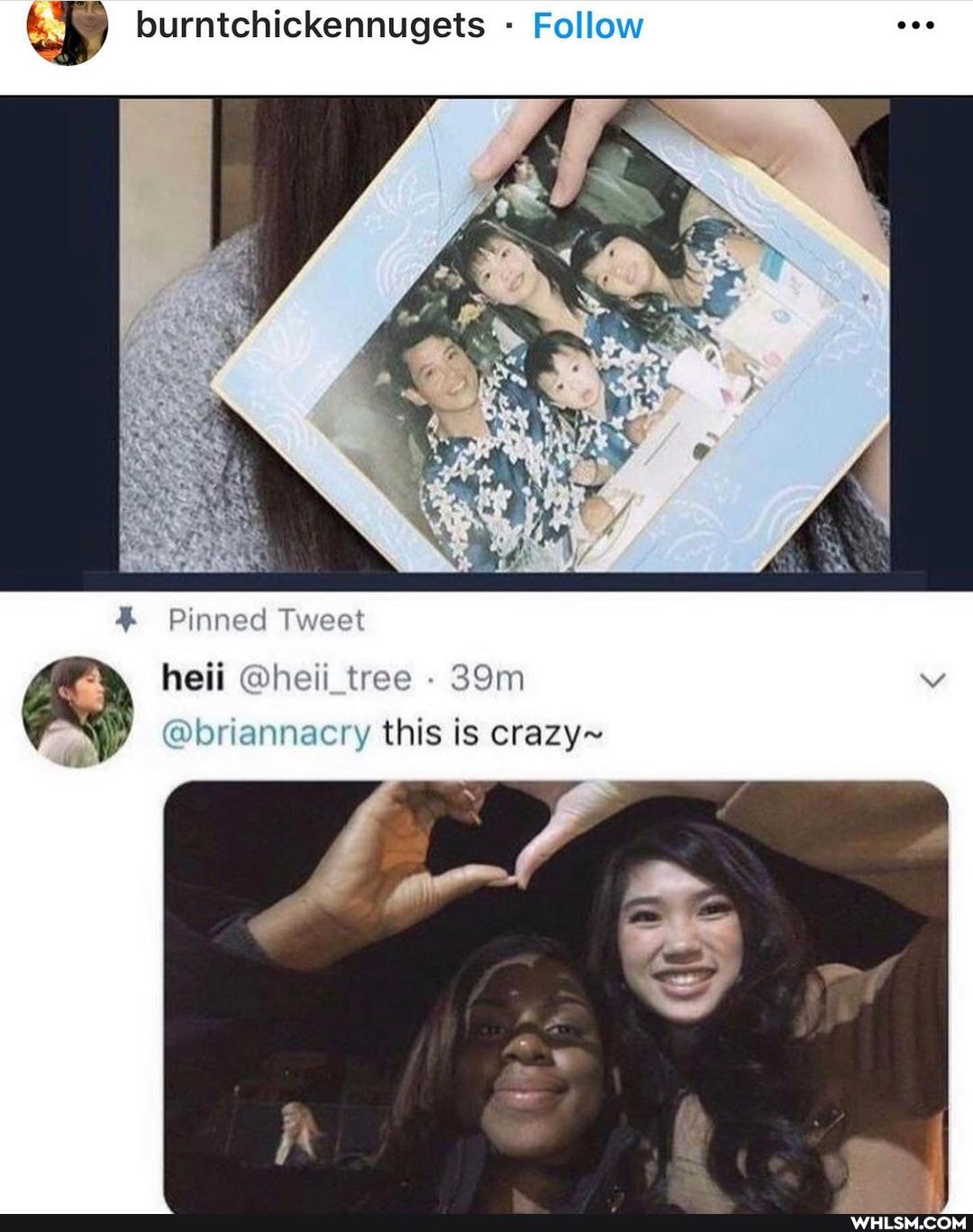 burntchickennugets Follow
Al
Pinned Tweet heii heii @heii_tree -
@briannacry this is crazy~