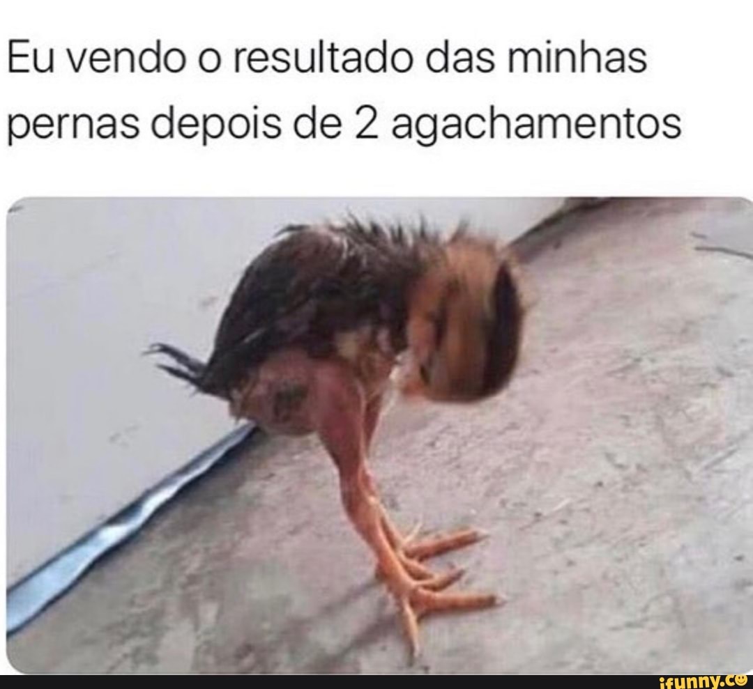 Eu vendo o resultado das minhas pernas depois de 2 agachamentos