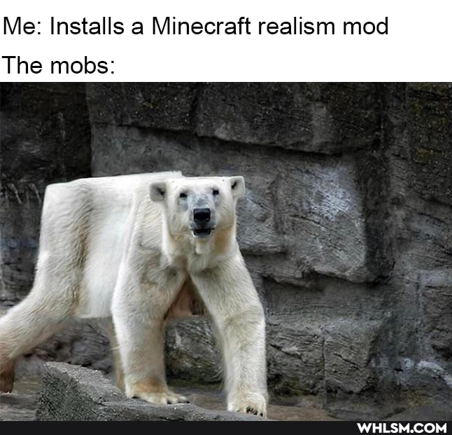 Me: Installs a Minecraft realism mod
The mobs: